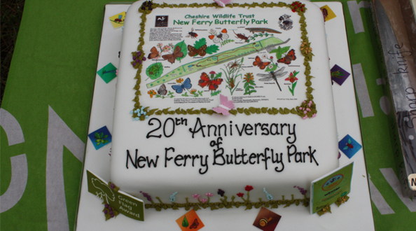 New Ferry Butterfly park celebrates 20 years