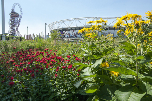 England - World Parks Week feature park: Queen Elizabeth Olympic Park, London