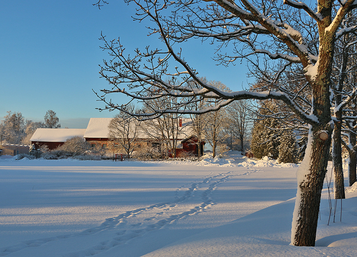 Axxell Överby campus.